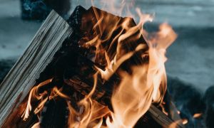 1.3- article astuces comment bien choisir son bois de chauffage combustion