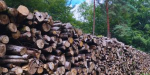 unité de mesure d'un stère de bois chauffage